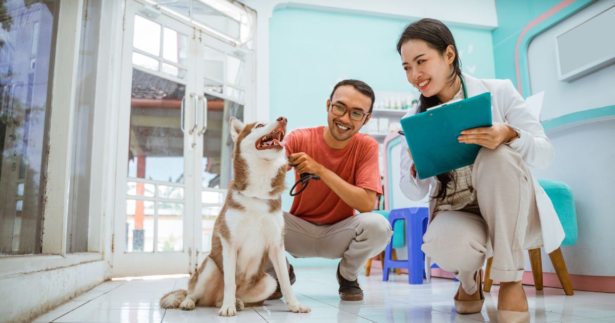 狗狗健康